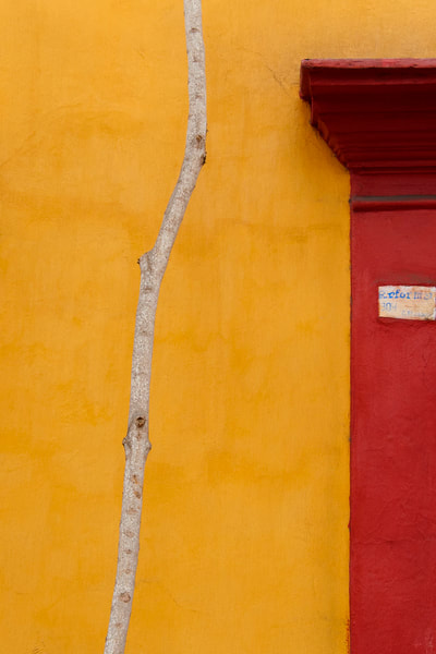 Colors Of Oaxaca by Mary Macey Butler