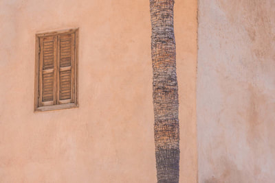 Window And Tree Morocco by Mary Macey Butler